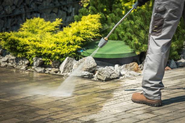 Best Solar Panel Cleaning  in La Crescenta Montrose, CA
